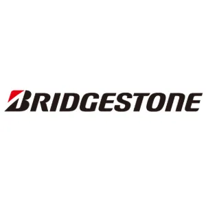 Picture for manufacturer BRIDGESTONE