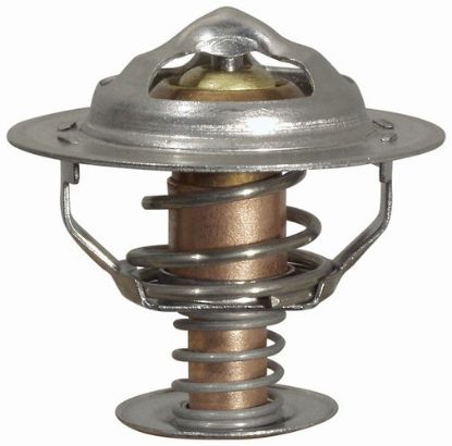 Picture of Thermostat 170 F