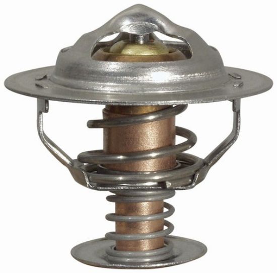 Picture of Thermostat 170 F