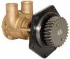 Picture of Sea Water Pump