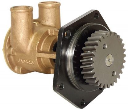 Picture of Sea Water Pump