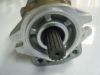 Picture of Hydraulic Pump