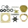 Picture of KIT, WATER PUMP 33636