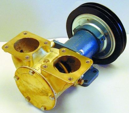 Picture of Sea Water Pump