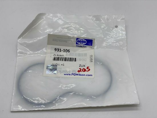 Picture of O RING