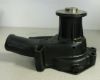 Picture of Water Pump