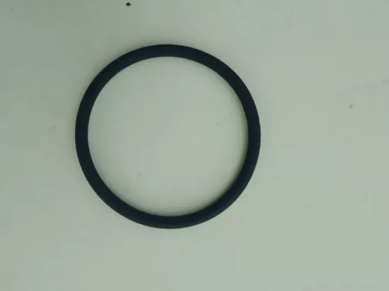 Picture of O-Ring