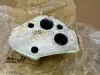 Picture of Intermediate Piece