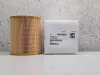 Picture of Air Filter