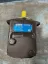 Picture of Hydraulic Vane Pump