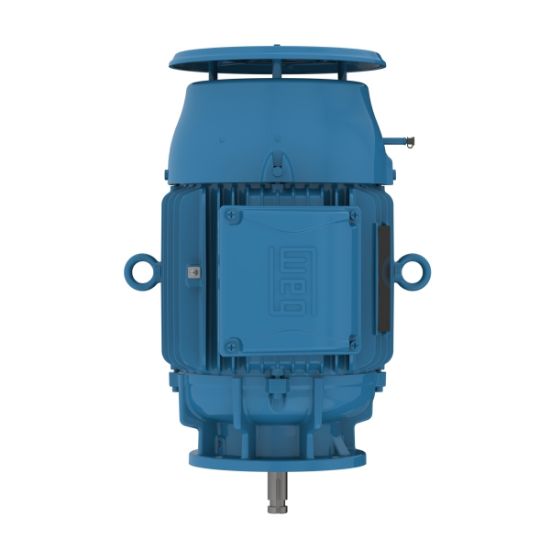 Picture of W22 P Base NEMA Premium Efficiency 25 HP 4P 284HP 3Ph 230/460//380 V 60//50 Hz IC411 - TEFC