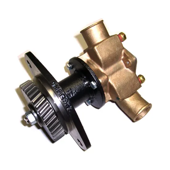 Picture of PUMP,SEA WATER