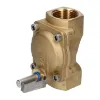 Picture of Brass Valve Without Solenoid, G1