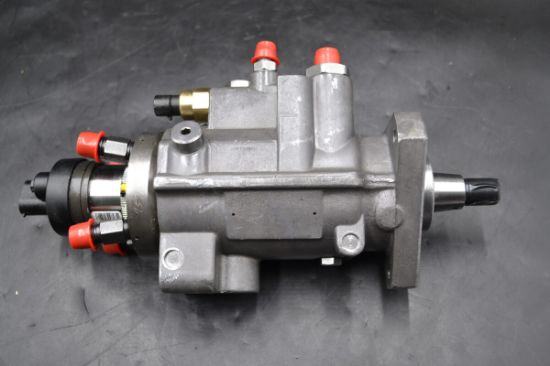 Picture of FUEL INJECTION PUMP