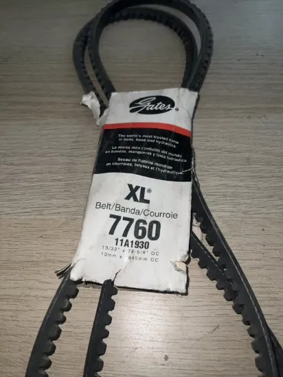 Picture of BELT SET(2).38X76 LG