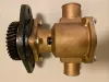 Picture of Sea Water Pump