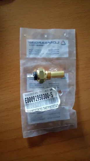 Picture of THERMOSTAT